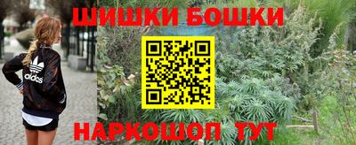 скорость Брянск