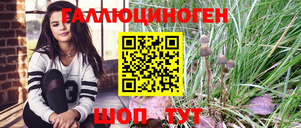 Галлюциногенные грибы MAGIC MUSHROOMS Великий Устюг